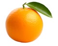 A close up of an orange isolated on white