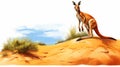 Vibrant Kangaroo Illustration: Standing Tall On Sand Dune