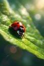 Vibrant Ladybug on Green Leaf with Raindrops and Bokeh Effect, Portrait Images Generative AI Royalty Free Stock Photo
