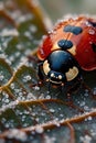 Vibrant Ladybug on Green Leaf with Raindrops and Bokeh Effect, Portrait Images Generative AI Royalty Free Stock Photo