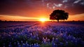 Vibrant Landscape. Colorful Blooms and Meadows Basked in the Warm Embrace of the Sun