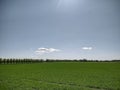 green field and some trees under the bright sun, with sky Royalty Free Stock Photo