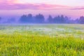 Vibrant landscape with foggy meadow in Poland