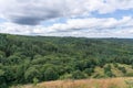 Vibrant landscape of lush green grass and tall trees set against a blue sky with clouds in Denmark. Royalty Free Stock Photo