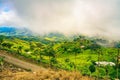 Vibrant landscape of Uvita, Costa Rica, with rolling hills and a farm under a foggy sky, showcasing the verdant