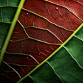 Vibrant Leaf Veins: A Close-up In Organic Contours