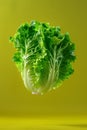 Luminous Lettuce Leap AI Generated Royalty Free Stock Photo