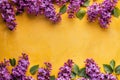 Vibrant lilac blossoms on a vivid yellow backdrop, embodying spring vitality. Copy space Royalty Free Stock Photo