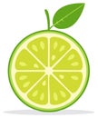 Vibrant Lime Slice Illustration with Leaf, Citrus Fruit Graphic, Refreshing Design Element Royalty Free Stock Photo