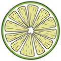 Vibrant lime slice illustration with segmented fruit detail for tropical themes and culinary projects Royalty Free Stock Photo