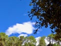 Vibrant Long Exposure of Roussillon\'s Green Trees: Motion Blur Sky Over Luberon, Provence, Vaucluse, France