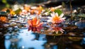 A vibrant lotus flower floats on a tranquil pond generated by AI Royalty Free Stock Photo