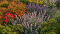 A vibrant and lush summer flower garden showcases an array of intensely colored blooms providing texture and depth within the Royalty Free Stock Photo