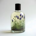Mystic Waters: Unveiling the Enchanting Aroma