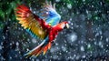 Colorful Macaw Parrot Flying Through the Air Royalty Free Stock Photo