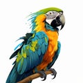 Vibrant Macaw Parrot Illustration With Electric Colors