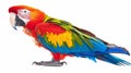 Vibrant macaw parrot isolated on white background. Generative AI Royalty Free Stock Photo