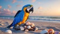 Blue and Gold Macaw Parrot on Tropical Beach at Sunset Royalty Free Stock Photo