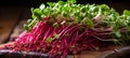 Vibrant macro capture of colorful microgreens, showcasing delicate beauty and nutrient rich appeal