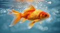 Hyper realistic image of a goldfish surrounded by air bubbles and light. Generated Ai Royalty Free Stock Photo