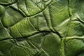 Vibrant macro image of green leather texture for design and background use Royalty Free Stock Photo