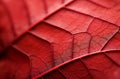 Vibrant Macro leaf red. Generate Ai