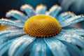 Vibrant Macro Photograph of a Dew Covered Blue Daisy in Full Bloom Showcasing Natural Beauty and Floral Detail