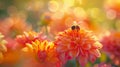 Vibrant macro photography bee pollinating colorful flowers with stunning detail and sharpness