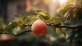 Vibrant macro photography capturing a ripe peach on a tree branch against a lush garden backdrop