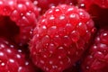 Vibrant Macro raspberry closeup. Generate Ai