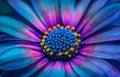 Vibrant Macro Shot of a Colorful Flower