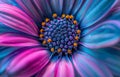 Vibrant Macro Shot of a Colorful Flower