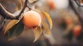 Vibrant Macro Shot Of A Delicate Peach On A Tree Branch