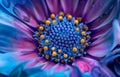 Vibrant Macro Shot of a Dew-Kissed Flower