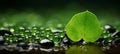 Vibrant macro shot of green leaf nature background with copy space for text placement