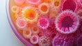 Vibrant macro view of colorful bacterial colonies in a petri dish Royalty Free Stock Photo