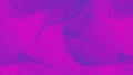 Vibrant Magenta and Purple Leaf Skeleton Pattern Abstract Textured Background Royalty Free Stock Photo