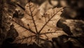 Vibrant maple leaf vein, symbol of autumn generated by AI