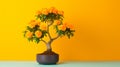 Vibrant Marigold Bonsai Tree On Yellow Background - Digital Manipulation