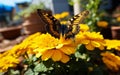 Vibrant Marigold Garden Elegance Butterfly. Generative AI