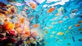 Vibrant Marine Life: A Colorful Underwater Ballet Royalty Free Stock Photo