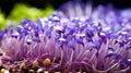 Vibrant microgreens a captivating macro shot showcasing delicate textures and rich colors