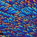 Vibrant microscopic crystal patterns under polarized light showcasing intricate blue and orange Royalty Free Stock Photo