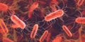 Vibrant Microscopic View of E. coli Bacteria