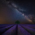 Vibrant Milky Way composite image over landscape of Beautiful lavender field Royalty Free Stock Photo