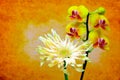 Delicate mini yellow phalaenopsis orchids and gerber daisy on soft grunge background