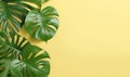 Vibrant monstera leaves on a bright yellow background. Created by AI