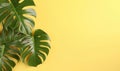 Vibrant monstera leaves on a bright yellow background. Created by AI