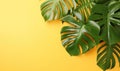 Vibrant monstera leaves on a bright yellow background. Created by AI