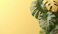 Vibrant monstera leaves on a bright yellow background. Created by AI